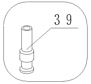 39.jpg