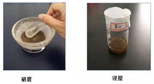樣品制備